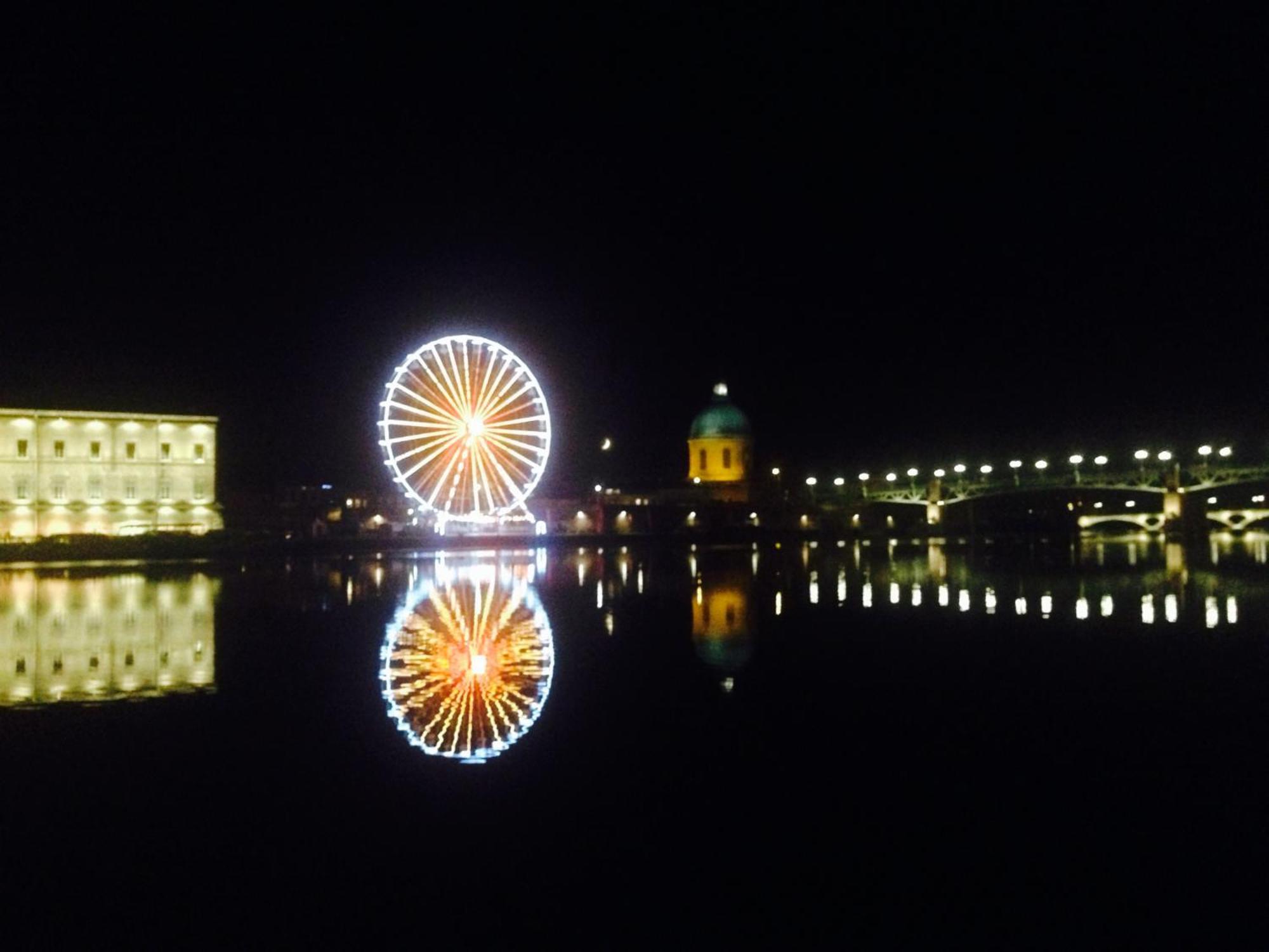 Le Trefle De Falguiere - Hypercentre- Gare Tolosa Esterno foto